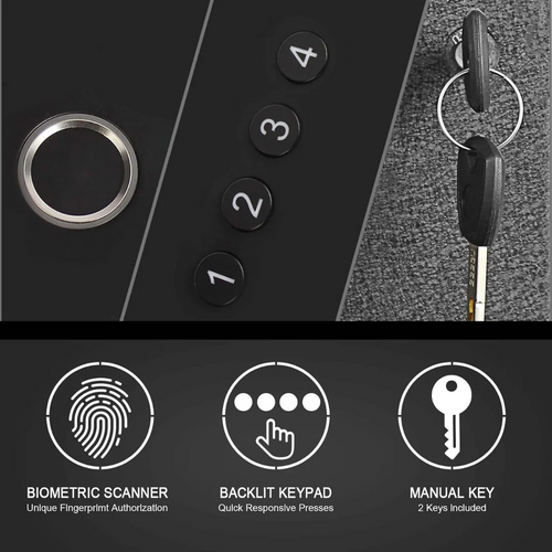 Biometric Handgun Gun Safe